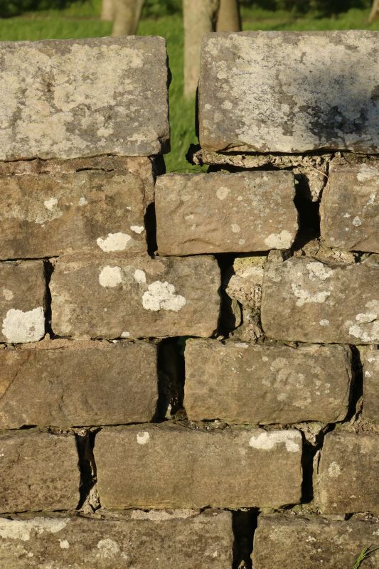 Stone Wall Repair in Monterey Park, CA